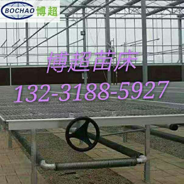 连栋温室移动苗床设计-价格-大棚苗床厂家北京图片