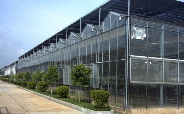 山东供应智能玻璃温室建设造价 智能温室骨架材料图片