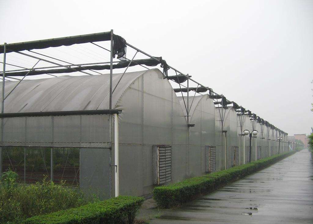 潍坊市蔬菜温室价格 山东薄膜温室厂家