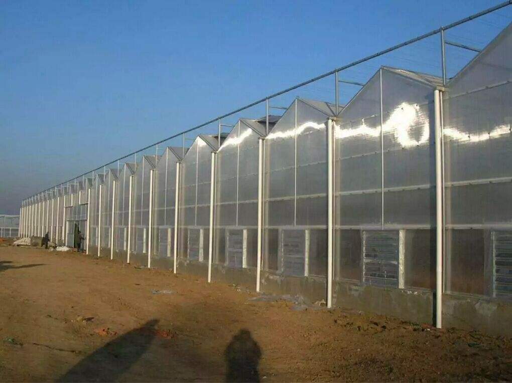 连栋阳光板温室连栋阳光板温室 智能阳光板生产厂家 阳光板温室图片