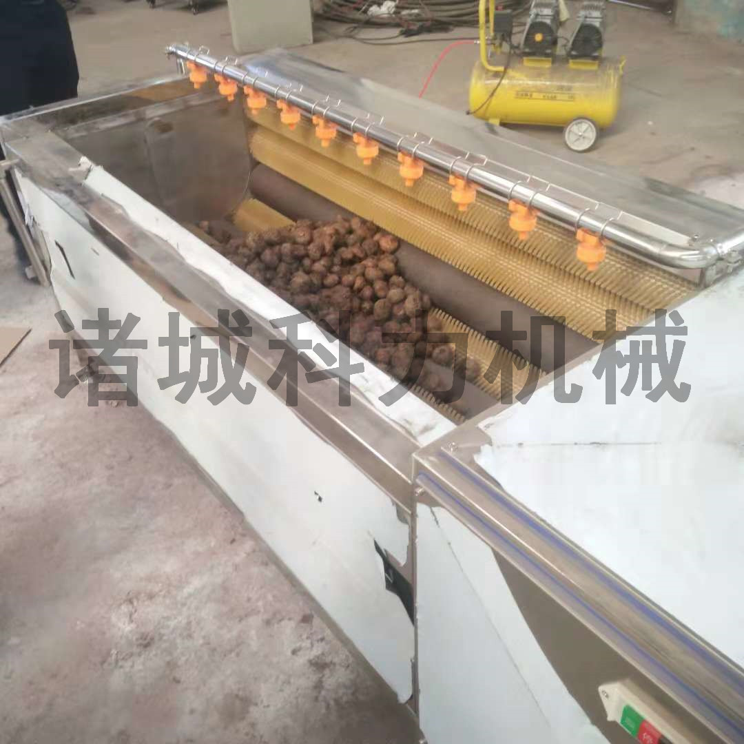 潍坊市毛辊洗菜机瓜果去皮机多功能去皮机厂家