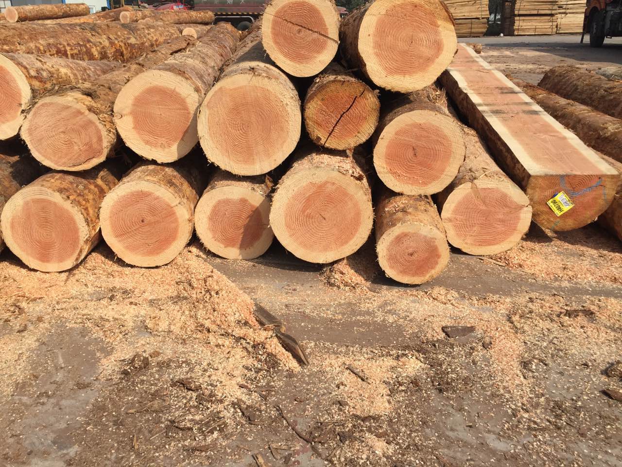 枣庄铁杉木方报价|建筑木方|木材