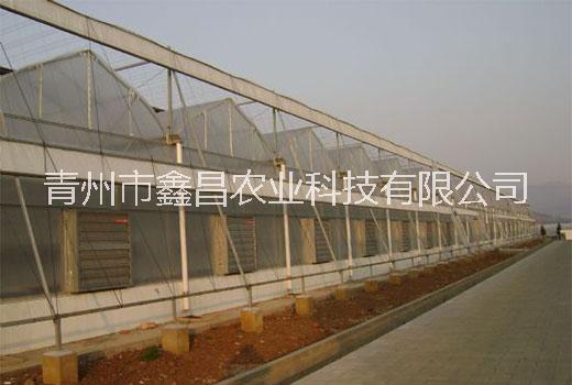 潍坊市上饶全自动恒温智能玻璃温室大棚厂家