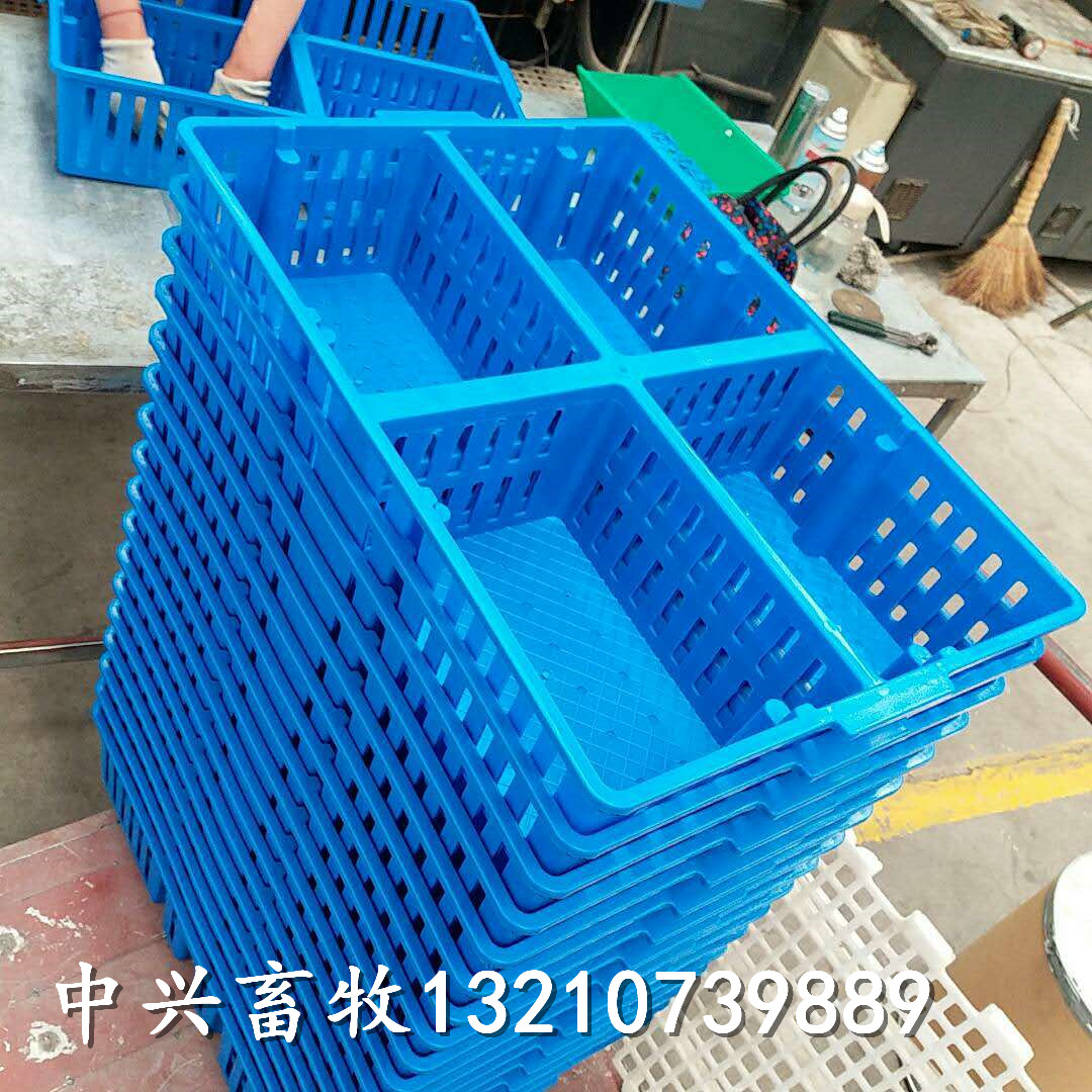 潍坊市全新塑胶小鸡筐鸡苗周转箱鸭苗运输厂家