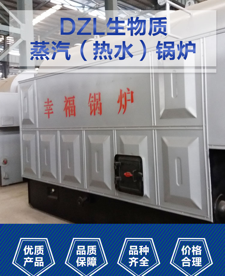 青岛DZG生物质蒸汽锅炉 生物质热水锅炉  蒸汽锅炉厂家 燃生物质锅炉图片
