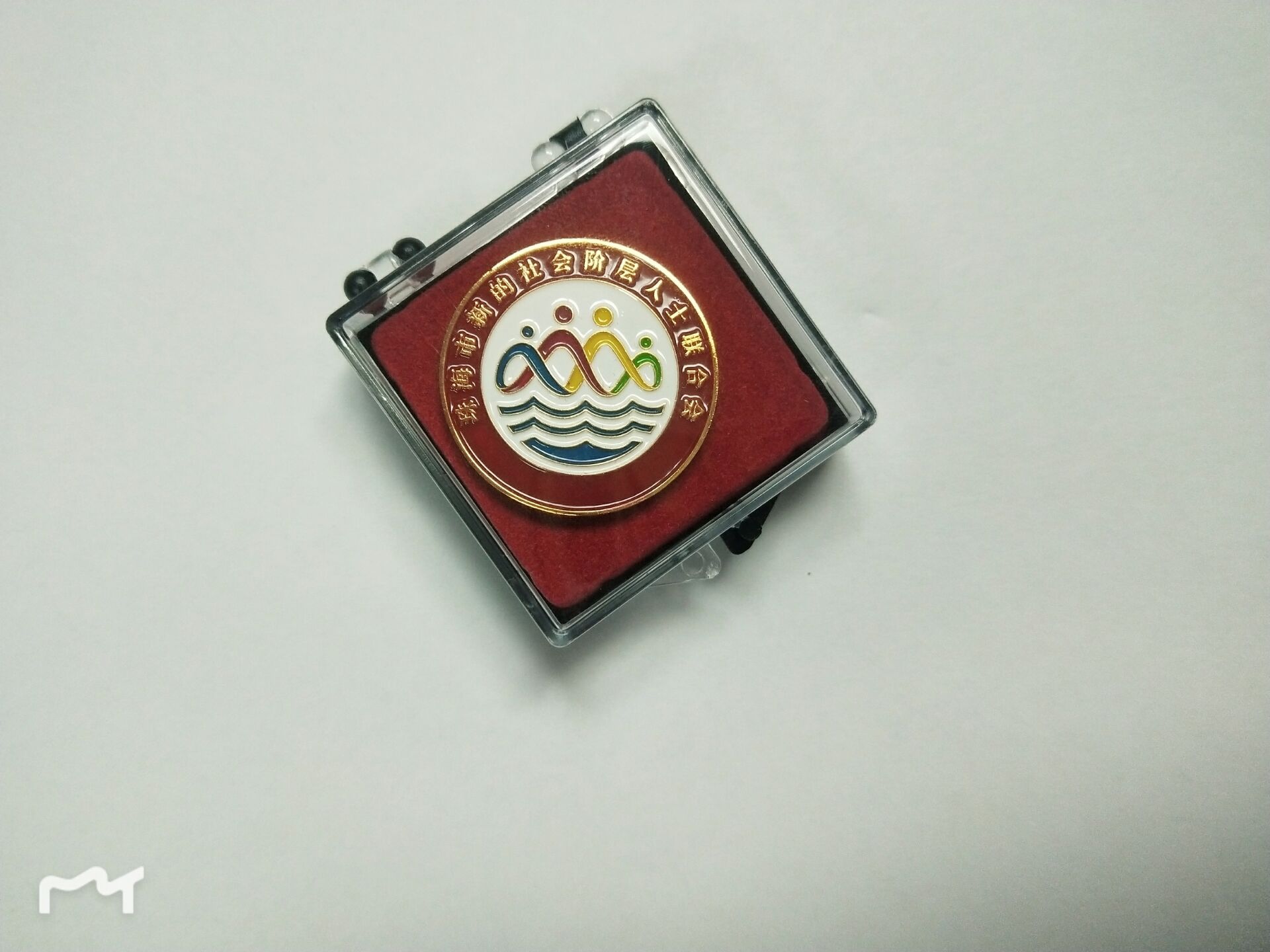 亚克力盒子胸徽定制厂 联合会会徽定制 ，活动臂章制作图片