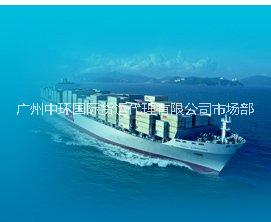 广州至迪拜海运专线外贸船运到迪拜