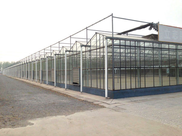乐山农业扶贫项目基地玻璃智能温室大棚工程建设厂家欢迎电联图片