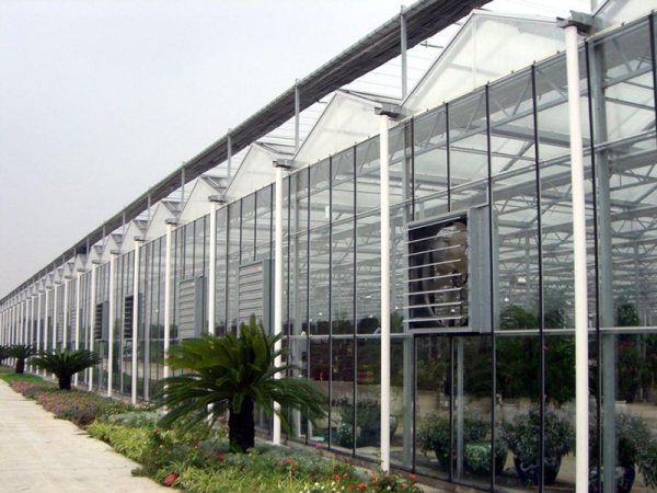 潍坊市立体种植栽培用玻璃温室大棚厂家