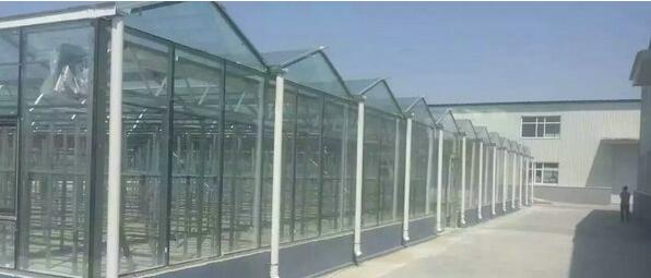 芜湖文洛型四季种植采摘玻璃温室芜湖文洛型四季种植采摘玻璃温室大棚项目基地建设实体商家