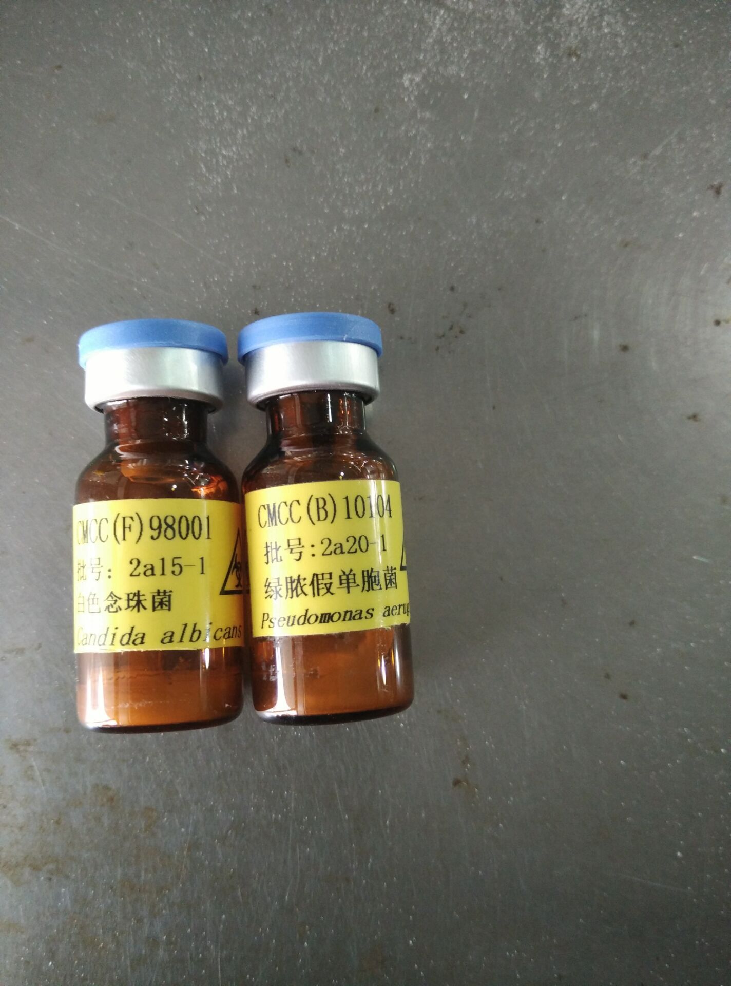 Bacillus pumilus 短小芽孢杆菌 ATCC菌种 质粒菌种保藏