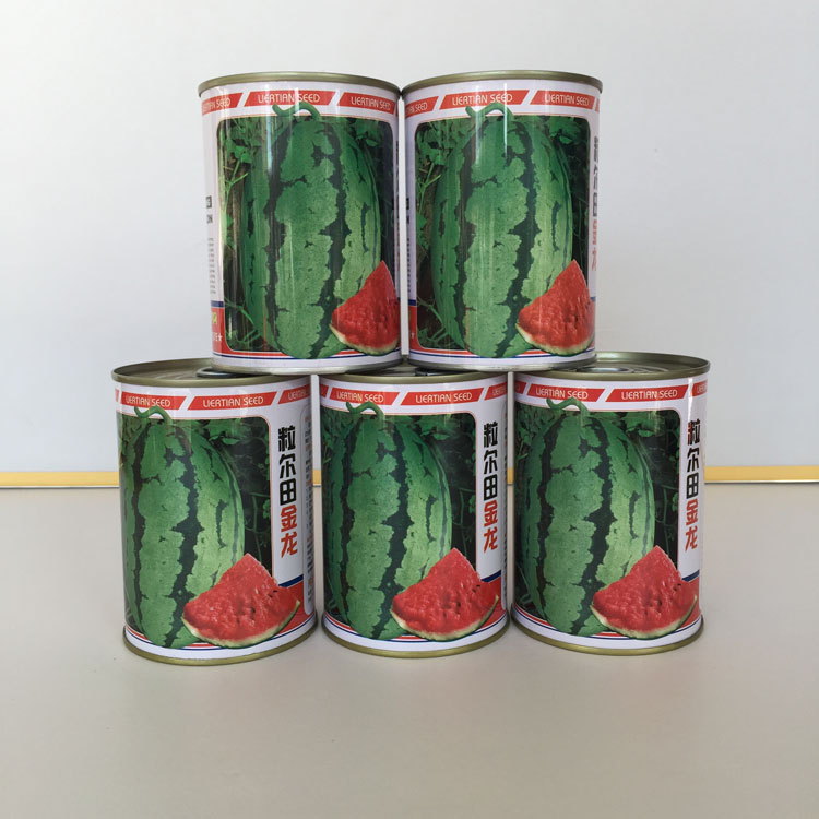 水果种子金花西瓜高圆大果型西瓜种子粒尔田金龙大西瓜种子图片