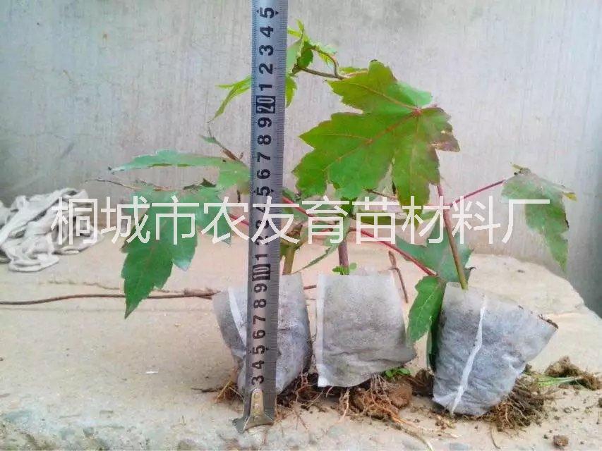 安庆市环保轻基质育苗网袋厂家