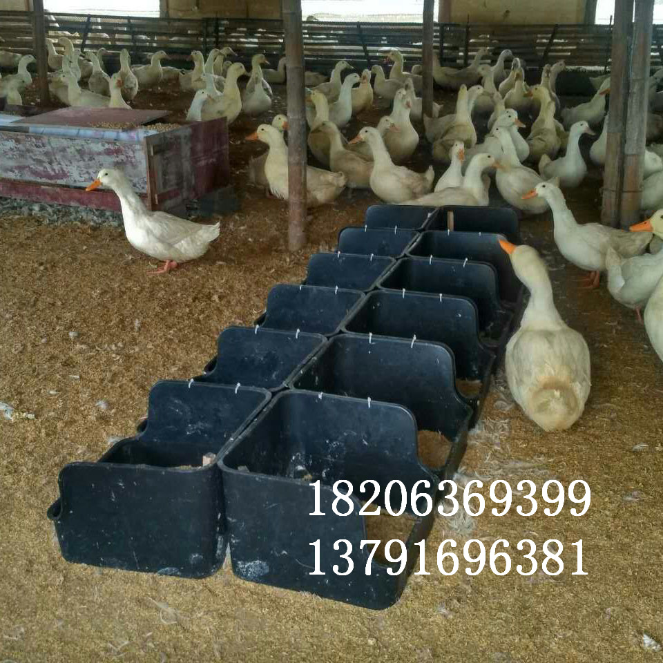 潍坊市供应抗老化鸭蛋窝无底塑料鸭蛋槽厂家