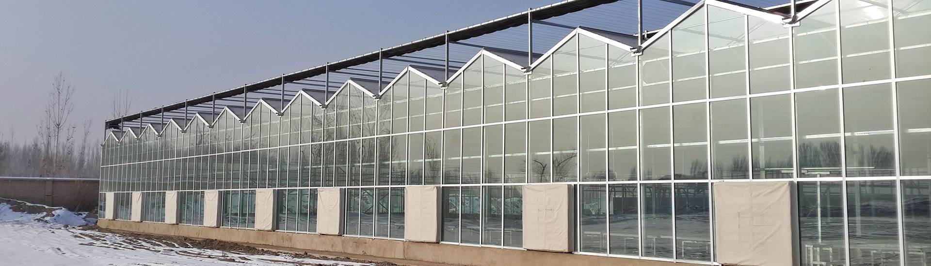 四周玻璃顶部阳光板温室的图片山东潍坊建达温室材料公司