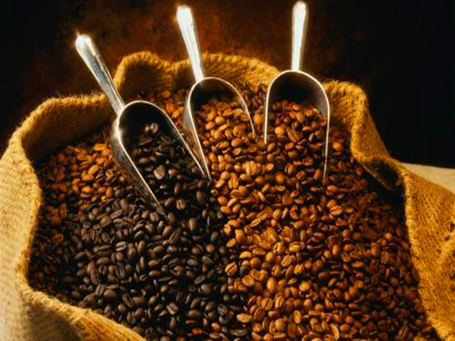 上海咖啡豆报关电话|上海进口咖啡豆快速报关|进口咖啡豆报关图片
