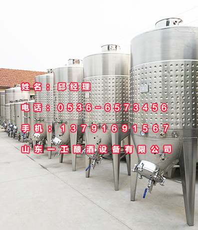 潍坊市哪里有好用的苹果酒发酵罐厂家