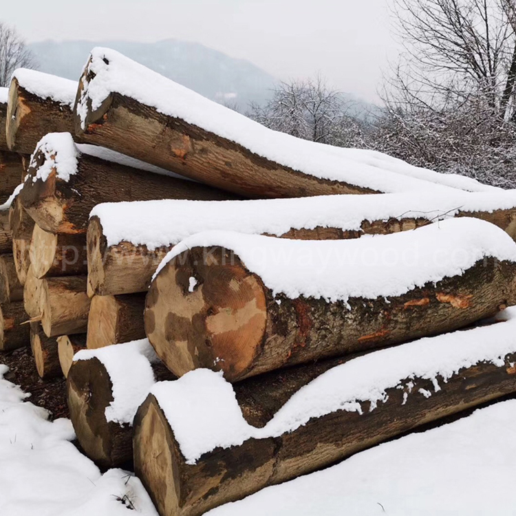 金威欧洲材白蜡木 原木 家具材 实木刨切材 FSC图片