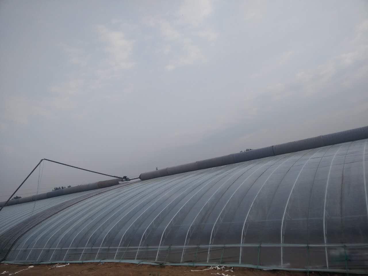 日光温室 日光养殖棚