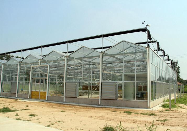 青岛玻璃温室 青州玻璃温室 玻璃温室施工 玻璃温室大棚 玻璃温室