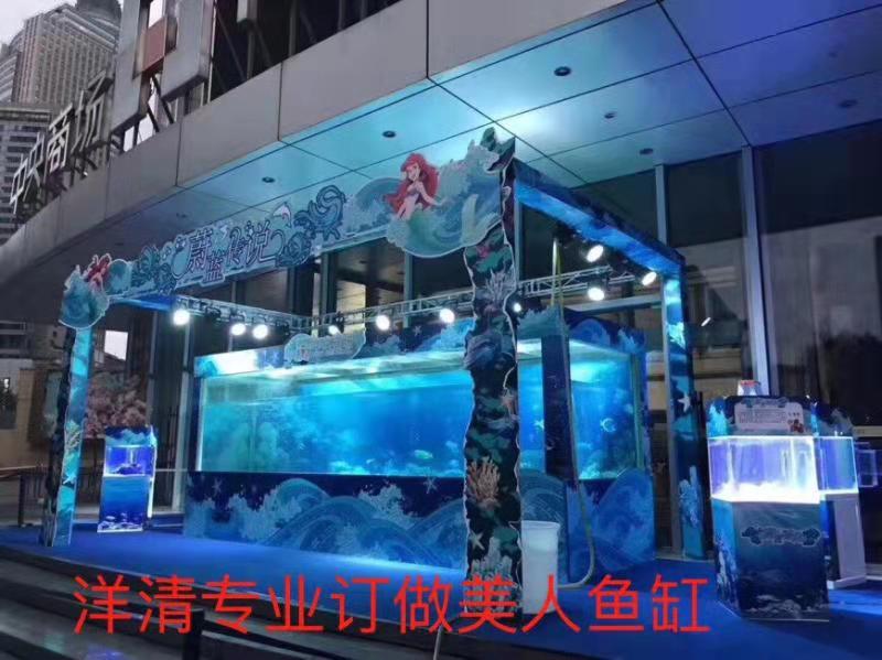 广州市美人鱼海狮表演  海洋生物展出租厂家