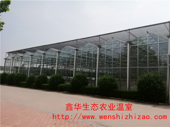潍坊市玻璃温室厂家