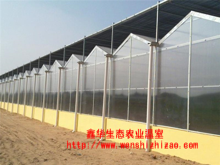 阳光板温室阳光板温室+阳光板温室建造+阳光板温室报价