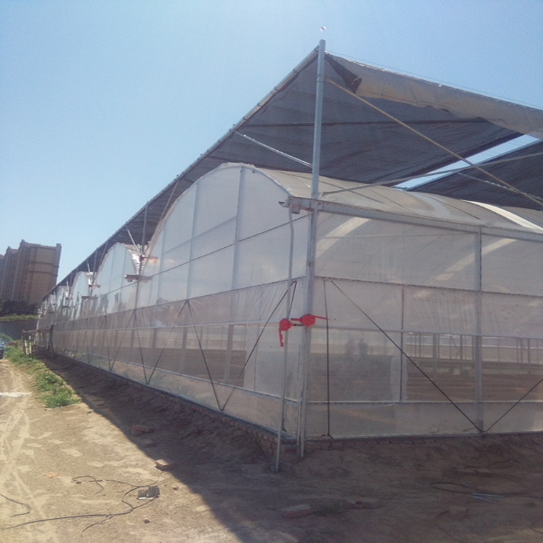供应薄膜温室大棚【WD8430A】  蔬菜大棚  种植大棚  大棚骨架 大棚设施