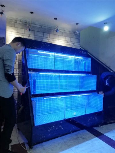广东超白玻璃鱼缸定制价格  广州大型生态鱼缸批发定做厂家_洋清水族图片