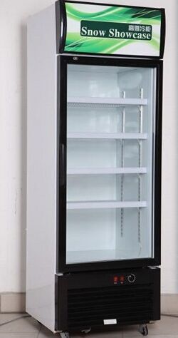 高雪冷柜立式单门冰箱批发