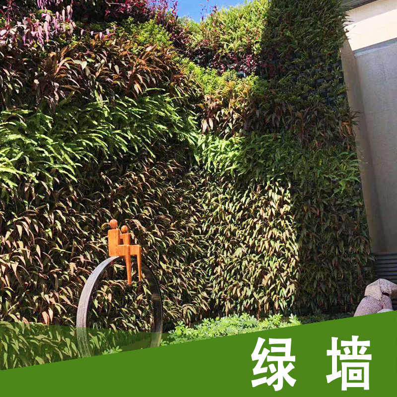 广州绿化墙工程批发