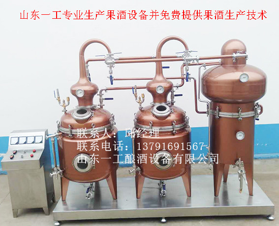 潍坊市山东一工酿酒设备果脯液除硫技术厂家