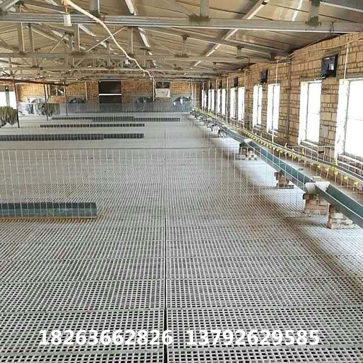 潍坊市养鸡塑料地板 漏粪地板图片厂家