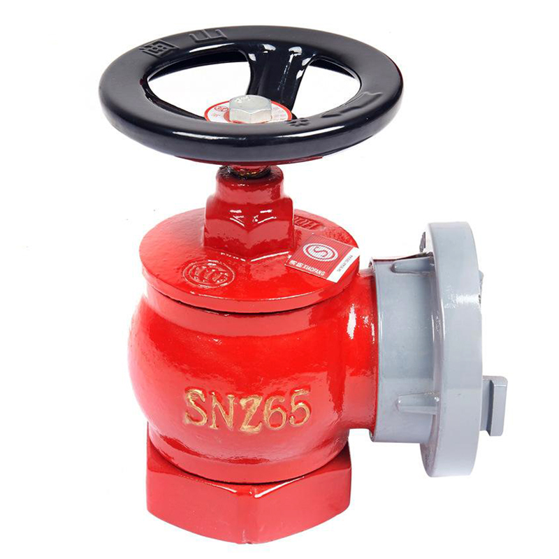 广州市消火栓厂家供应SN65型室内消防栓 消火栓SN65 2.5寸消防阀门 消防水阀厂家报价