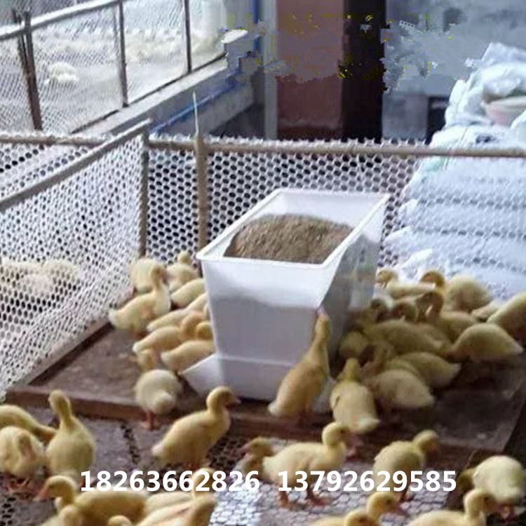 鸡鸭鹅专用料箱 白色鸡鸭用料箱 喂料箱价格