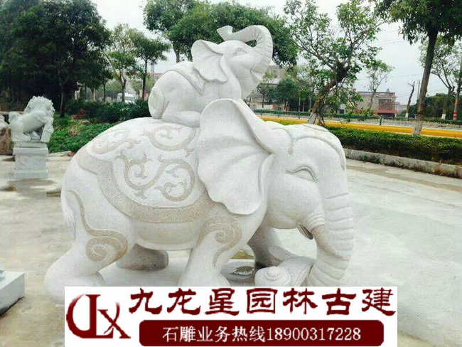 惠安聚财石头大象 石雕招财大象厂家九龙星图片