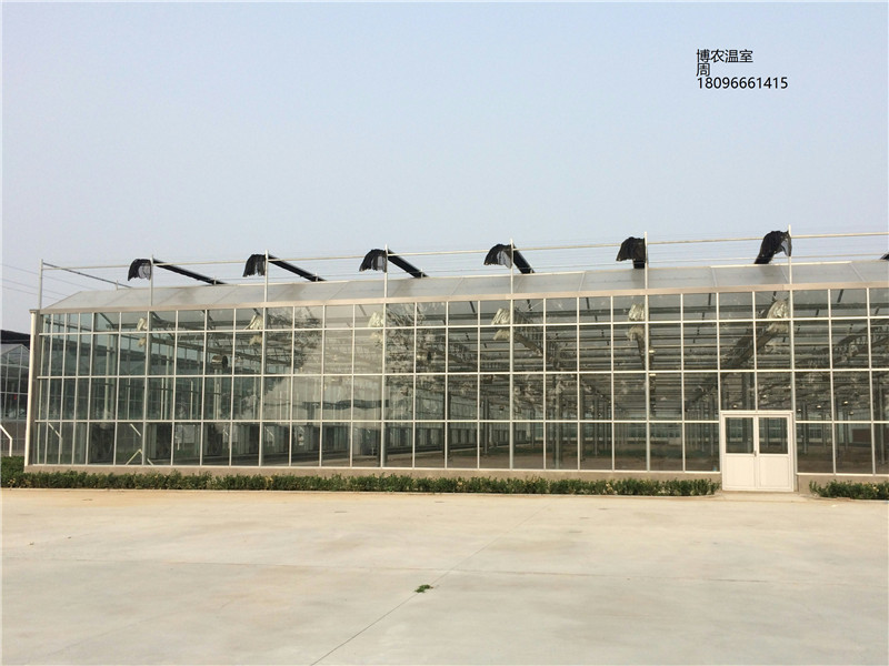 安徽智能玻璃温室连栋大棚价格300元一平方厂家直供图片