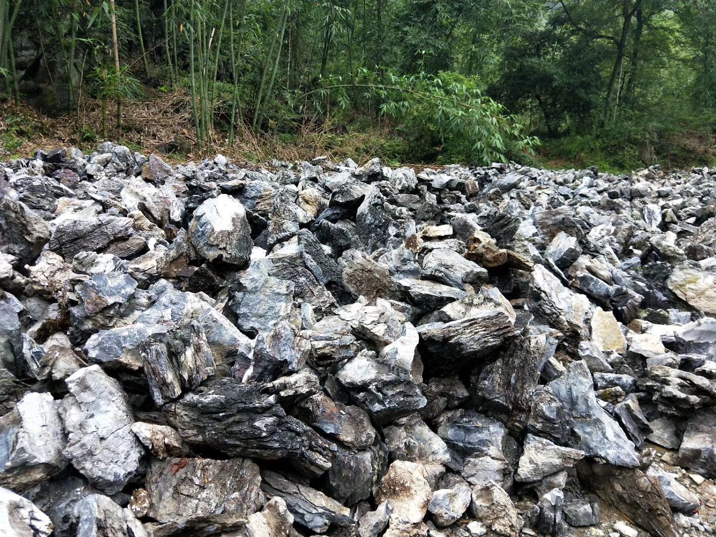 假山石多少钱一吨 假山石批发市场 假山石原产地 全国可发货图片