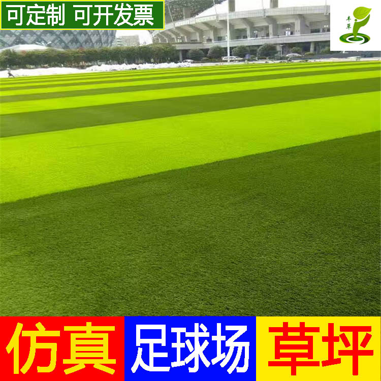 广州丰草足球场绿色人造草坪运动场地仿真人工草学校操场绿色地毯草