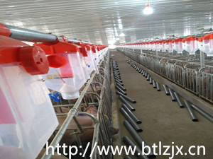 养殖场自动喂料线 料线筛盘良诸牌 料线转角轮 养猪干料自动喂料线