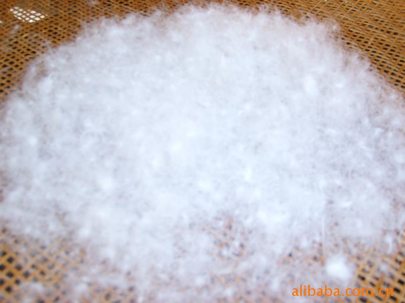 反季羽绒服充的50达标白鸭绒价格|国标检测50白鸭绒图片