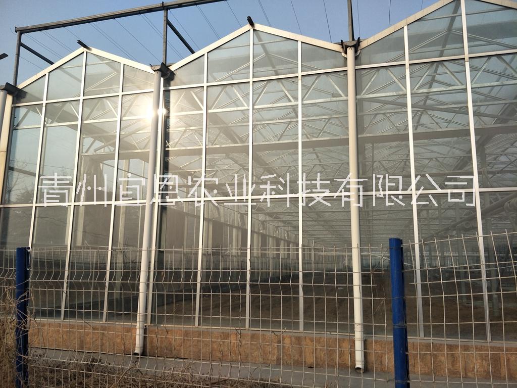 潍坊市日照玻璃温室大棚、玻璃连栋温室厂家