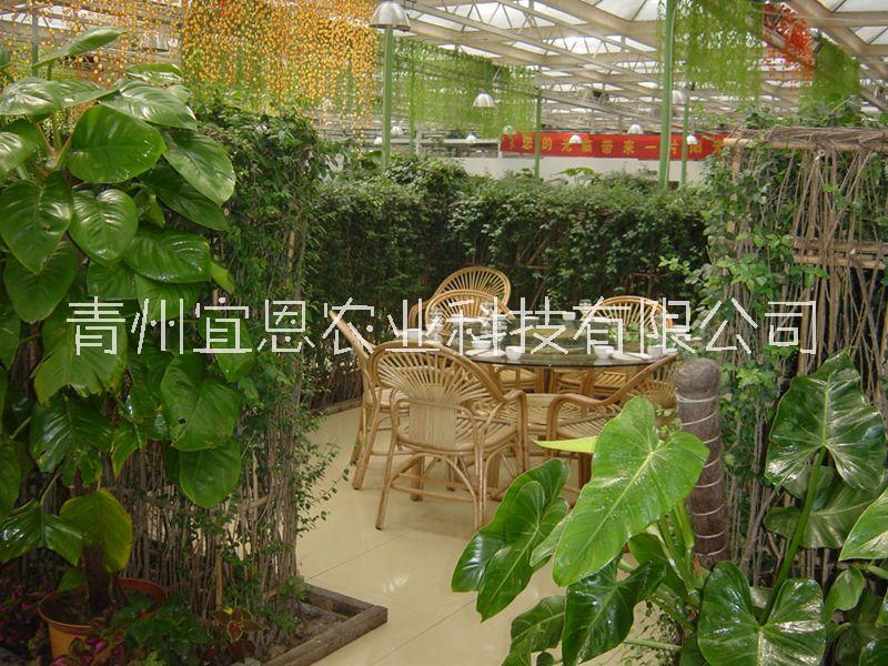 潍坊市山东智能温室生态餐厅、玻璃温室厂家