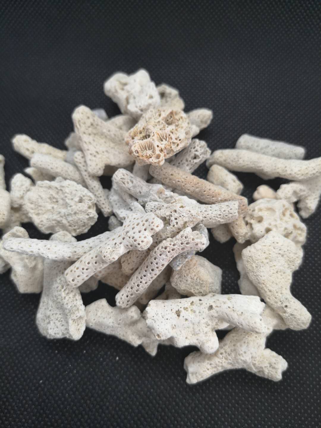 珊瑚石-生产厂家哪家好-供应商-厂家直销批发报价