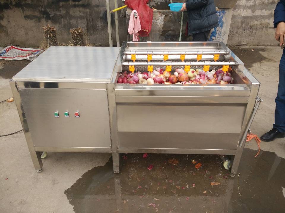 冠通 GT-100毛辊清洗机 生产厂家 土豆清洗机 芋头去皮清洗机