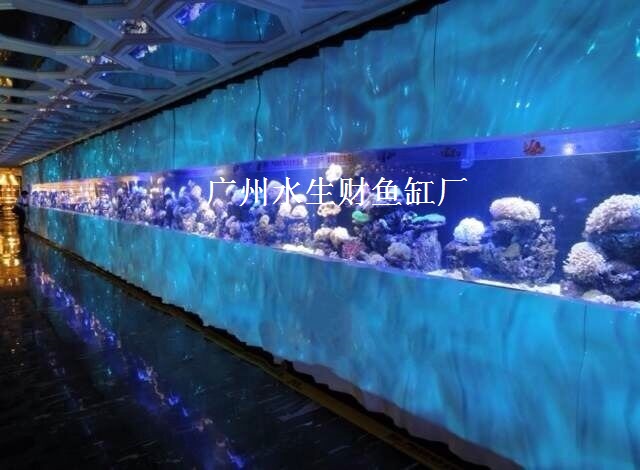 广州鱼缸厂家，鱼缸制作，鱼缸设计、鱼缸订做图片