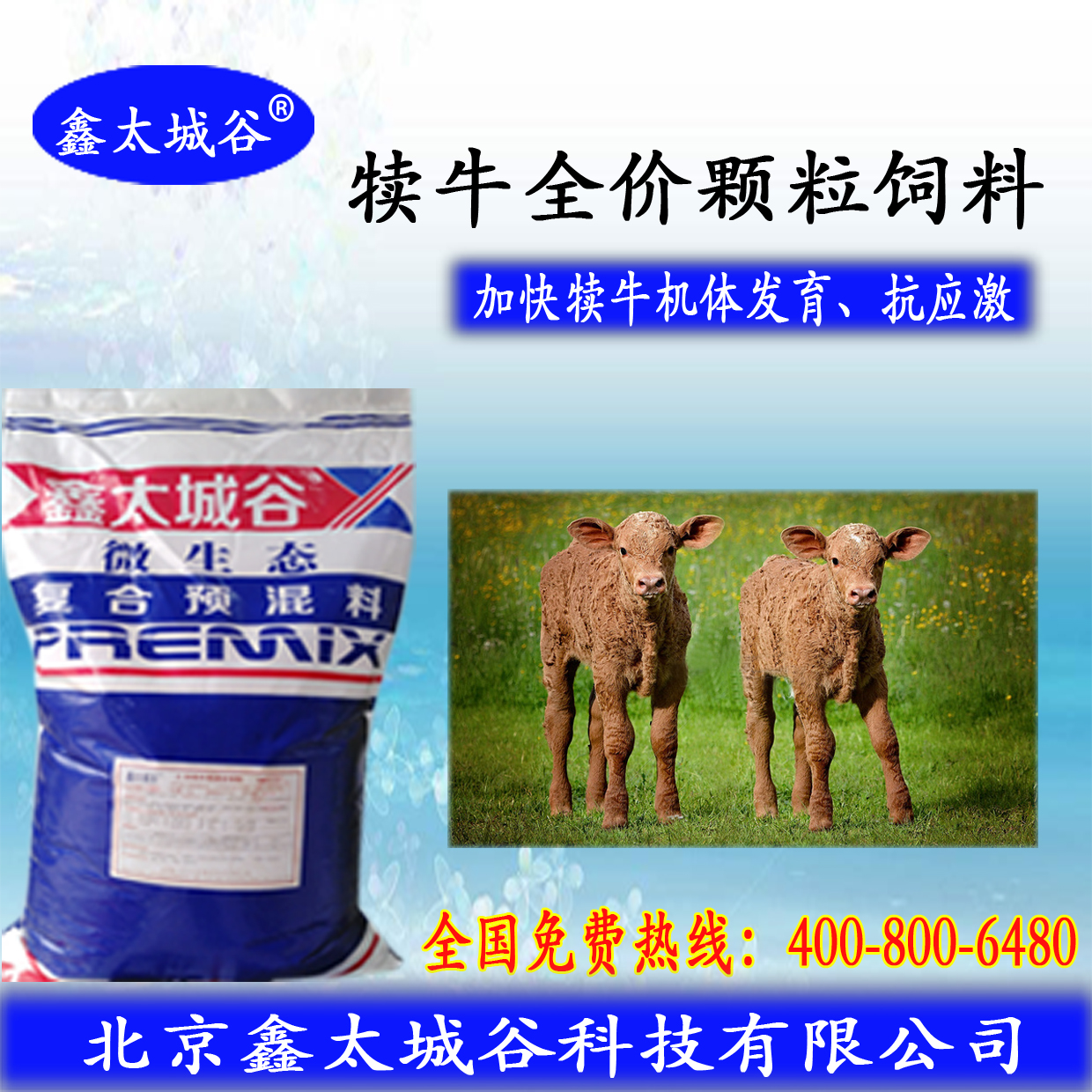 北京鑫太城谷微生态型开张骨架的犊牛颗粒料