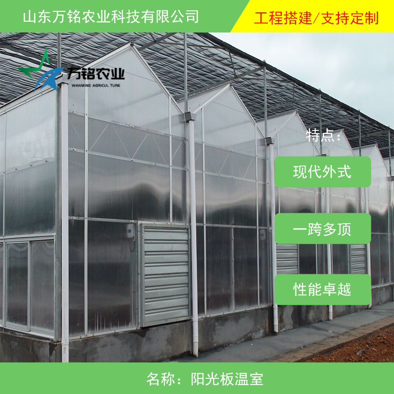 山东阳光板温室工程 阳光板温室供应商价格图片