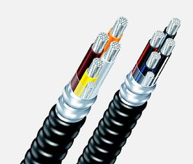 电力电缆厂家、安徽绿宝阻燃电力电缆、池州电力电缆 阻燃电力电缆报价图片