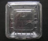 一次性pet蓝莓透明气孔塑料盒  山东一次性pet蓝莓透明气孔塑料盒厂家批发价格